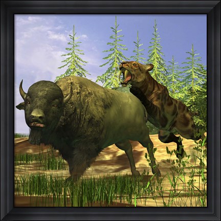 Framed Saber-Tooth cat pounces onto a frightened Buffalo Print