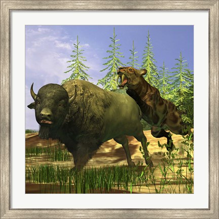 Framed Saber-Tooth cat pounces onto a frightened Buffalo Print