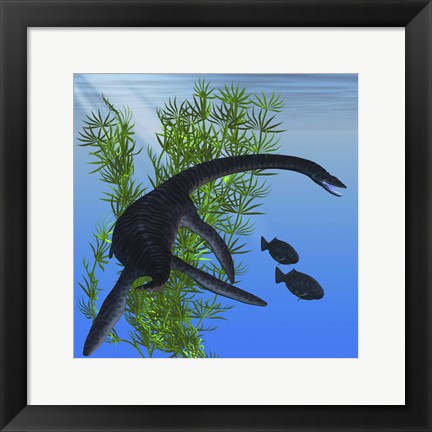 Framed Plesiosarus dinosaur of the Jurassic Era Print
