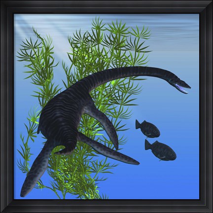 Framed Plesiosarus dinosaur of the Jurassic Era Print