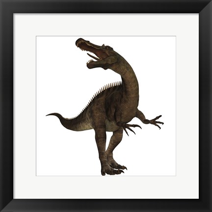 Framed Suchomimus, a large spinosaurid dinosaur Print