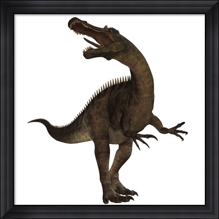 Framed Suchomimus, a large spinosaurid dinosaur Print