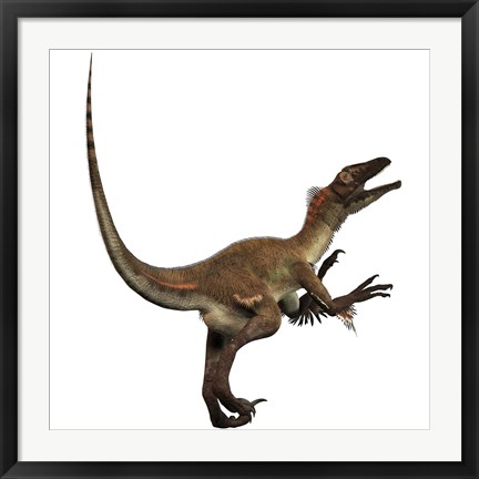 Framed Artist&#39;s concept of a Utahraptor Print