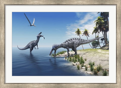 Framed Suchomimus dinosaurs feed on fish on the shoreline Print