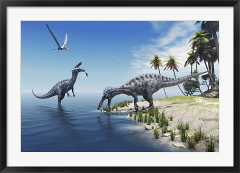 Framed Suchomimus dinosaurs feed on fish on the shoreline Print