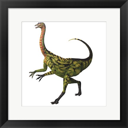 Framed Deinocheirus, a large carnivorous dinosaur Print