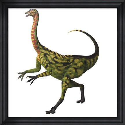 Framed Deinocheirus, a large carnivorous dinosaur Print