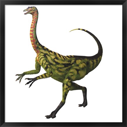 Framed Deinocheirus, a large carnivorous dinosaur Print