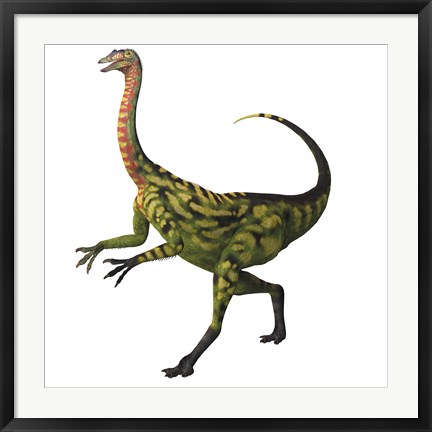 Framed Deinocheirus, a large carnivorous dinosaur Print