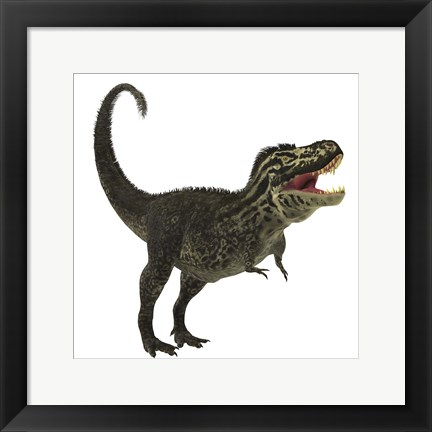 Framed Tyrannosaurus Rex, a large predatory beast of the Cretaceous period Print