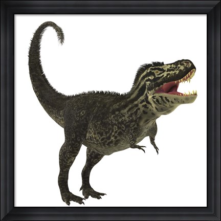 Framed Tyrannosaurus Rex, a large predatory beast of the Cretaceous period Print