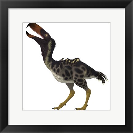 Framed Kelenken is an extinct genus of giant flightless predatory birds Print