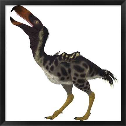 Framed Kelenken is an extinct genus of giant flightless predatory birds Print