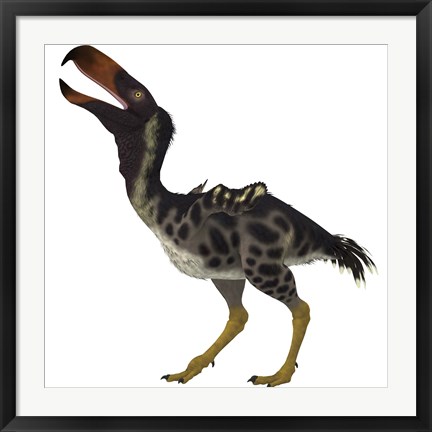 Framed Kelenken is an extinct genus of giant flightless predatory birds Print