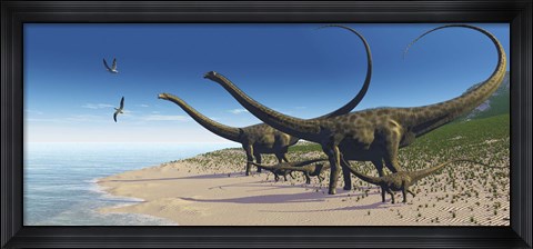 Framed Diplodocus herd comes down to a lake for a drink of water Print