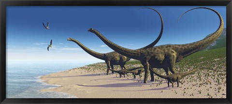 Framed Diplodocus herd comes down to a lake for a drink of water Print