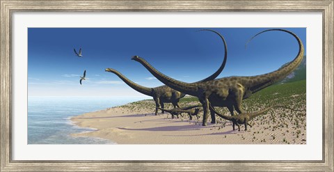 Framed Diplodocus herd comes down to a lake for a drink of water Print