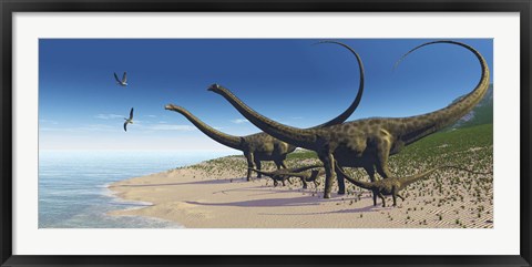 Framed Diplodocus herd comes down to a lake for a drink of water Print