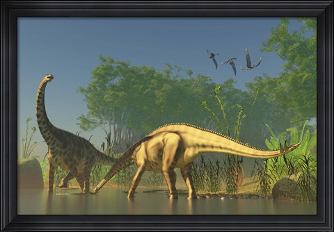 Framed Spinophorosaurus dinosaurs grazing the inhabited swamps of the Jurassic period Print