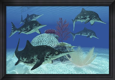 Framed group of large Ichthyosaurus marine reptiles swimming in prehistoric waters Print
