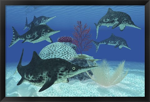 Framed group of large Ichthyosaurus marine reptiles swimming in prehistoric waters Print