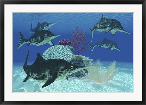 Framed group of large Ichthyosaurus marine reptiles swimming in prehistoric waters Print