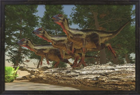 Framed group of herbivorous Hypsilophodon dinosaurs Print