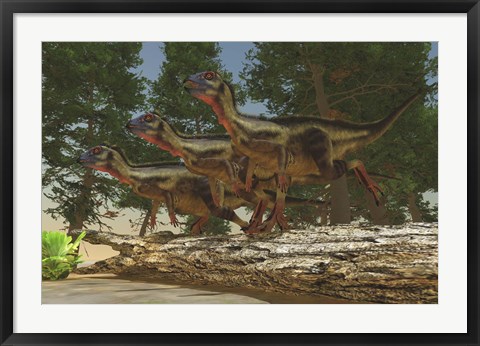 Framed group of herbivorous Hypsilophodon dinosaurs Print