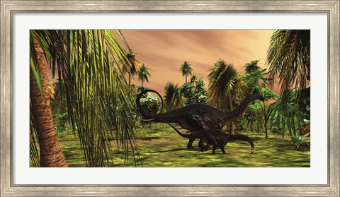 Framed Apatosaurus mother escorts her hatchling baby Print