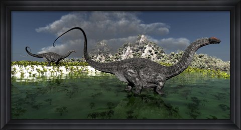 Framed Apatosaurus dinosaurs roam the wilderness of prehistoric times Print
