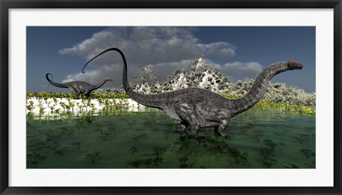 Framed Apatosaurus dinosaurs roam the wilderness of prehistoric times Print