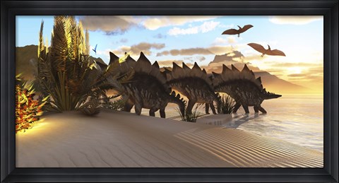 Framed Stegosaurus dinosaurs graze among the vegetation by a lake in the Jurassic Period Print