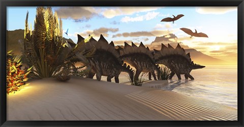 Framed Stegosaurus dinosaurs graze among the vegetation by a lake in the Jurassic Period Print