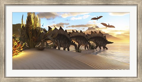 Framed Stegosaurus dinosaurs graze among the vegetation by a lake in the Jurassic Period Print