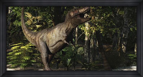 Framed mighty Tyrannosaurus Rex hunts for prey in a dense jungle Print
