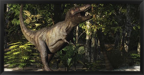 Framed mighty Tyrannosaurus Rex hunts for prey in a dense jungle Print