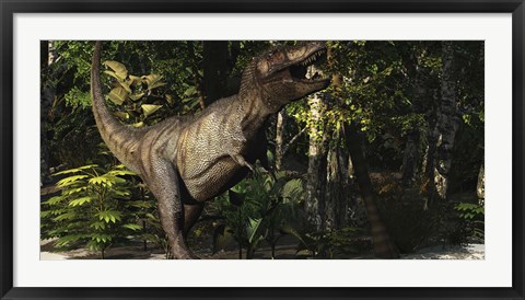 Framed mighty Tyrannosaurus Rex hunts for prey in a dense jungle Print