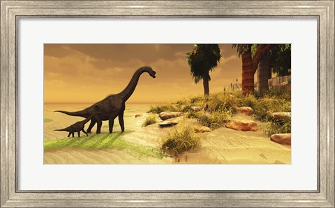 Framed mother Brachiosaurus Dinosaur and her offspring Print
