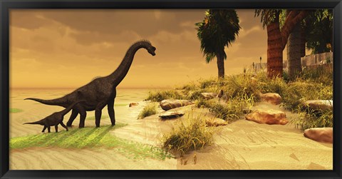 Framed mother Brachiosaurus Dinosaur and her offspring Print