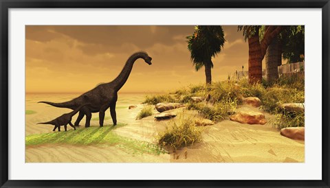 Framed mother Brachiosaurus Dinosaur and her offspring Print