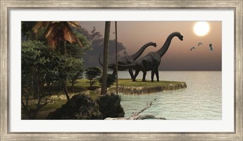 Framed Two Brachiosaurus dinosaurs enjoy a beautiful sunset Print