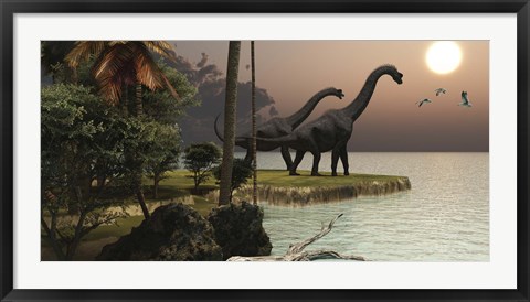 Framed Two Brachiosaurus dinosaurs enjoy a beautiful sunset Print