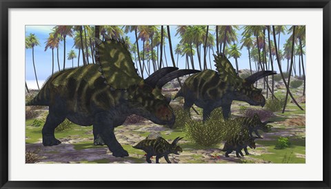 Framed Two mother Coahuilaceratops escort their baby hatchlings Print