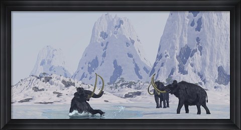 Framed Woolly Mammoth struggles for survival as he falls through ice on a frozen lake Print