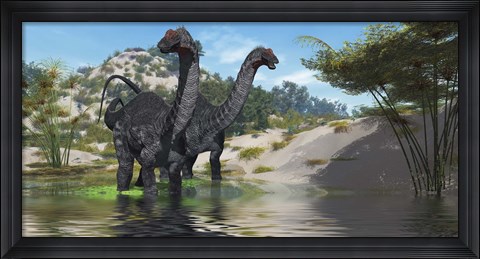 Framed Two Apatosaurus dinosaur wade through a lush pond Print