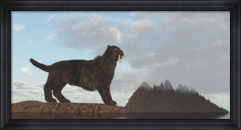 Framed Illustration of a Saber Tooth Cat Print