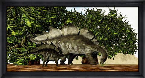 Framed Stegosaurus baby looks to its mother for guidance Print