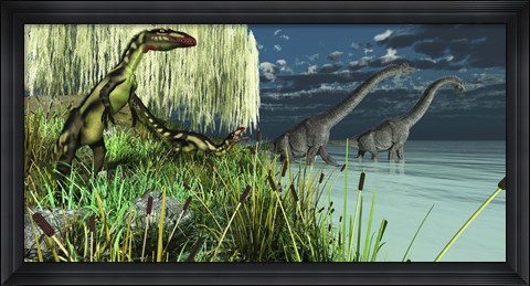 Framed Dilong dinosaurs watch two Brachiosaurus wade across a lake Print