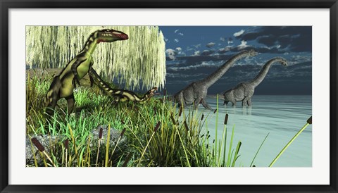 Framed Dilong dinosaurs watch two Brachiosaurus wade across a lake Print