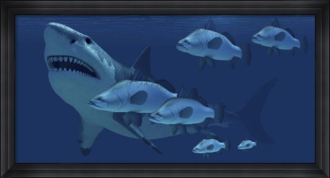 Framed school of fish encounter a monstrous Megalodon shark Print